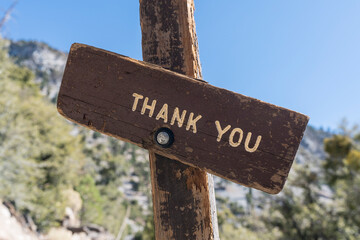 Rustic wooden thank you sign with mountain wilderness background.