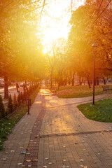 Obraz premium City park in Vranje captured in autumn morning.