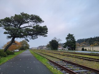 railway in the countryside