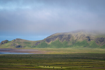 Fototapeta na wymiar Grassy landscape near the Black Sand Beach Vik South Iceland