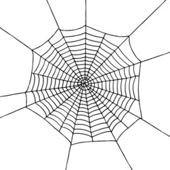 Obraz premium Hand-drawn cobweb background