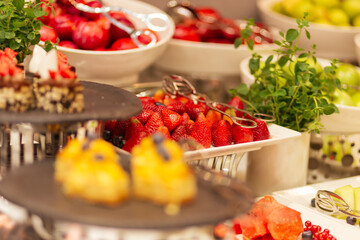 assortment of fresh fruits for dessert