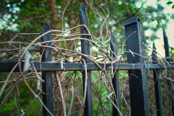 rusty gate