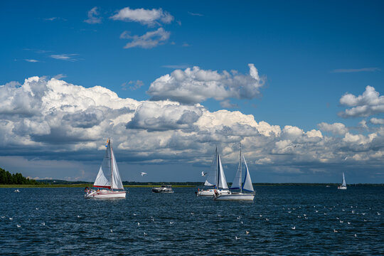 Sailboats on the lake on a sunny day