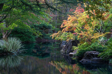 Tranquil pond with vibrant autumn leaves reflecting in it at Gibbs Gardens, Georgia.