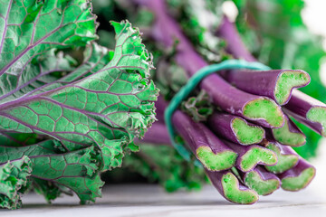 Close up shot of Bundle of fresh green Kale Salad Leaves and Stems in a Local Market. Selective focus. Food background.