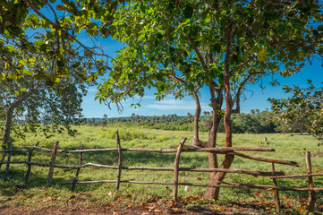 Fototapeta na wymiar Wooden fence home made rural village landscape