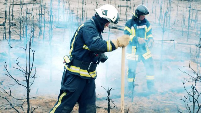 Burnt-out ground is getting damped down by the firemen