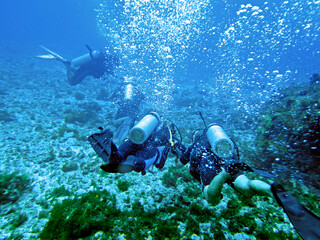 scuba divers at Ressureta diving point in Fernando de Noronha archipelago, State of Pernambuco, Brazil