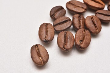コーヒー豆（マクロ撮影）