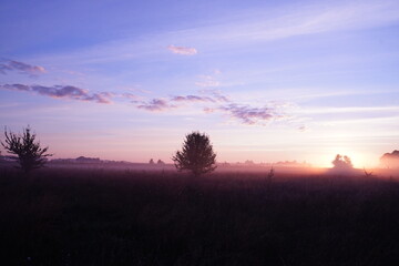 Sunrise over the field 