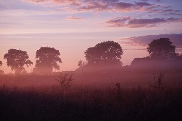 Fototapeta premium Sunrise over the field 