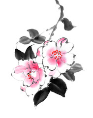 水墨画技法で描いたの白とピンクの山茶花