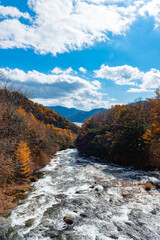 日光国立公園　紅葉した竜頭ノ滝