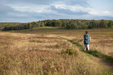 Fototapeta na wymiar person walking in the field