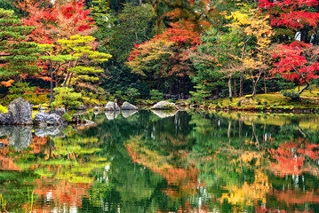 Scenic colorful landscape of  Maple Trees in Zen Style Garden of Temple in Autumn, Kyoto, Japan