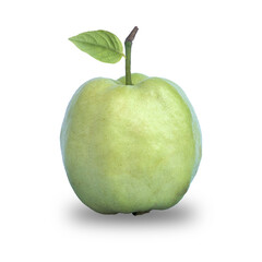 Guava isolated on a white background.