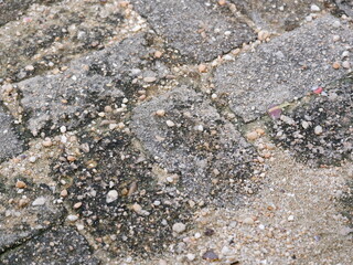 The texture