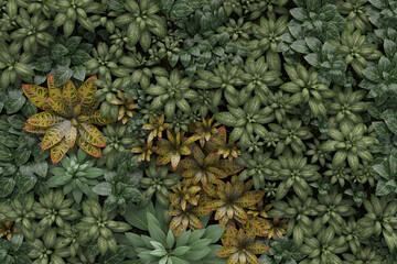 Vertical garden, wall decorate, green plants decoration, 3D rendering