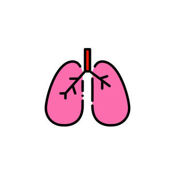 Human lungs. Internal breathing organ. Pixel perfect, editable stroke colorful icon
