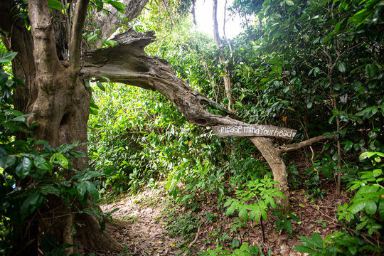 Hiking trails around Koh Mun Nork

