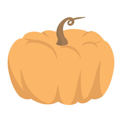 pumpkin fruit for thanksgiving color illustration