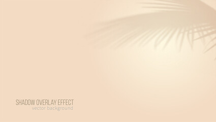 Fototapeta na wymiar Background design for product presentation. Beige color. Shadow of palm leafs. Template for presentation or poster.