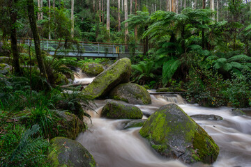 waterfall in the forest, Rainforest 