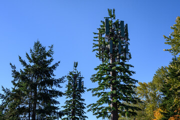 Mobile communications cell site with tower and antennas camouflaged as an evergreen tree, blue sky...