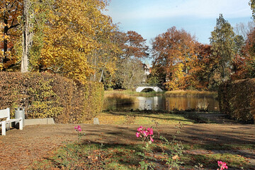 Schlosspark Senftenberg