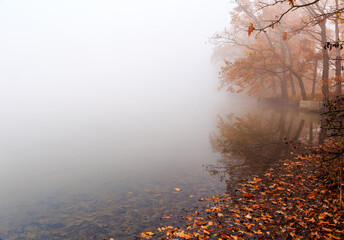 Misty foggy autum on a small lake