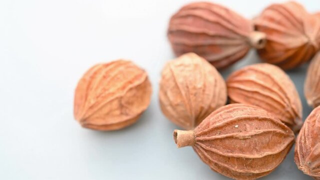 angle pan herb XiangShaRen or Villous Amomum Fruit or Amomi Fructus