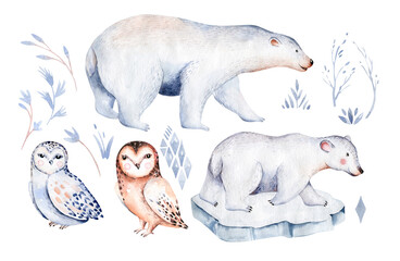 polar owl arctic animals watercolor collection set. snowy owl. polar bear. fox. penguin, walrus. seal and oeca, hare whale