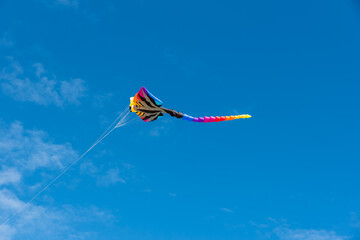 Colorful Kites flying over the sky