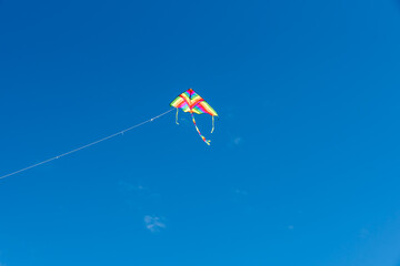 Colorful Kites flying over the sky