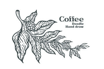 Branch of coffee with fruits and flowers hand drawn illustration