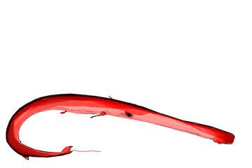 アカヤガラ