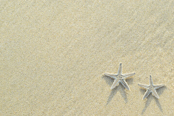 Fototapeta na wymiar Summer background. Starfish on sand background. Close up.