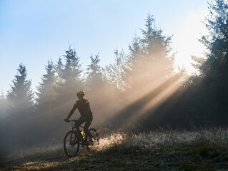 Man cyclist in cycling suit riding bicycle near forest illuminated by morning sunlight. Bicyclist cycling on grassy hill in the morning. Concept of sport, bicycling and active leisure.