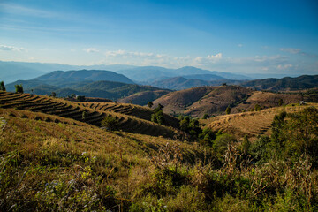 Naklejka premium landscape in the mountains