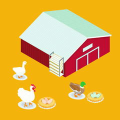 Chicken Farm With Egg Illustration