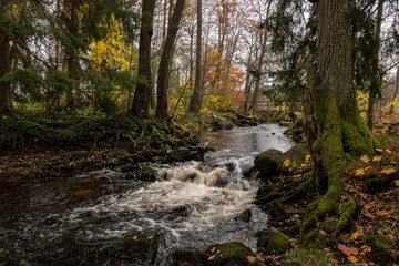 Scenic view of a river in autumn. Farnebofjarden national park in north of Sweden.