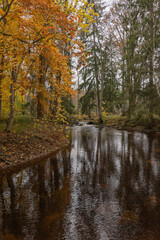 Scenic view of a river in autumn. Farnebofjarden national park in north of Sweden.