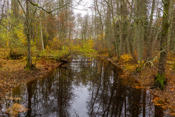 Obraz premium Scenic view of a river in autumn. Farnebofjarden national park in north of Sweden.