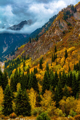 fall in the mountains