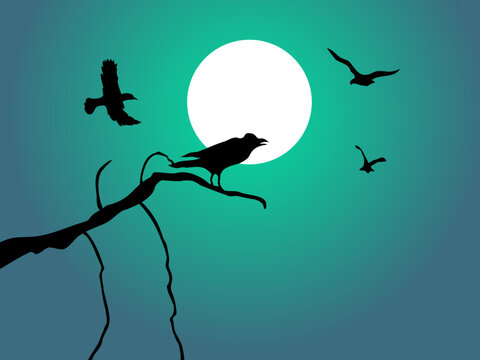 silhouette of crows on a branch