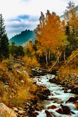 Fototapete Waldfluss Herbstwald in den Bergen