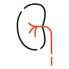 Kidney icon in editable style