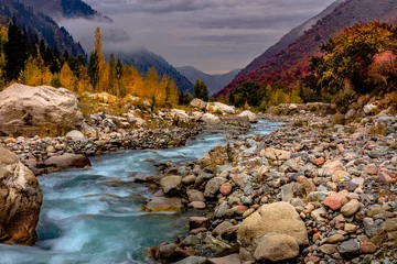 Wall murals Forest river mountain river in autumn