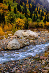 Naklejka na ściany i meble mountain river in autumn